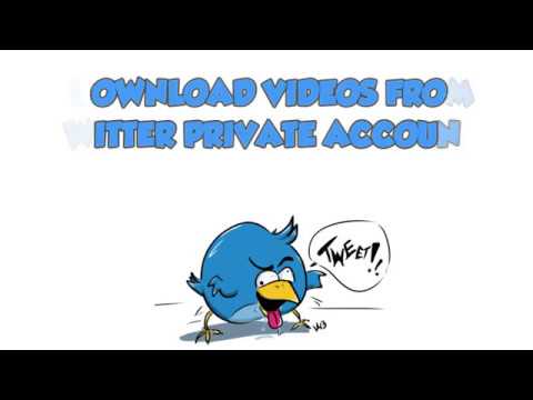 download twitter private video download twitter private video