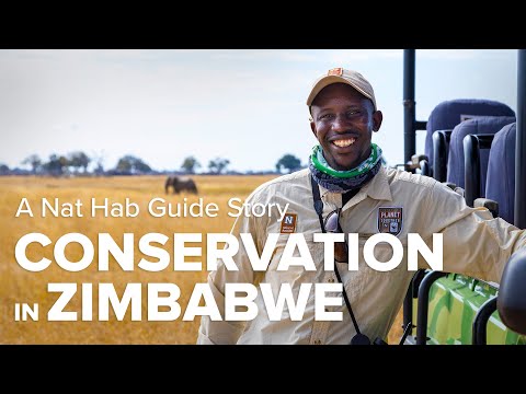 Vídeo: Lake Kariba, Zimbábue: O Guia Completo