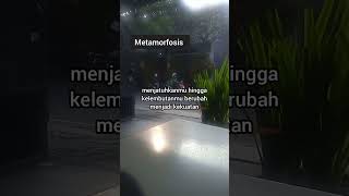 metamorfosis #motivasi #metamorfosis