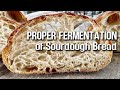 PROPER FERMENTATION of Sourdough Bread. | by JoyRide Coffee