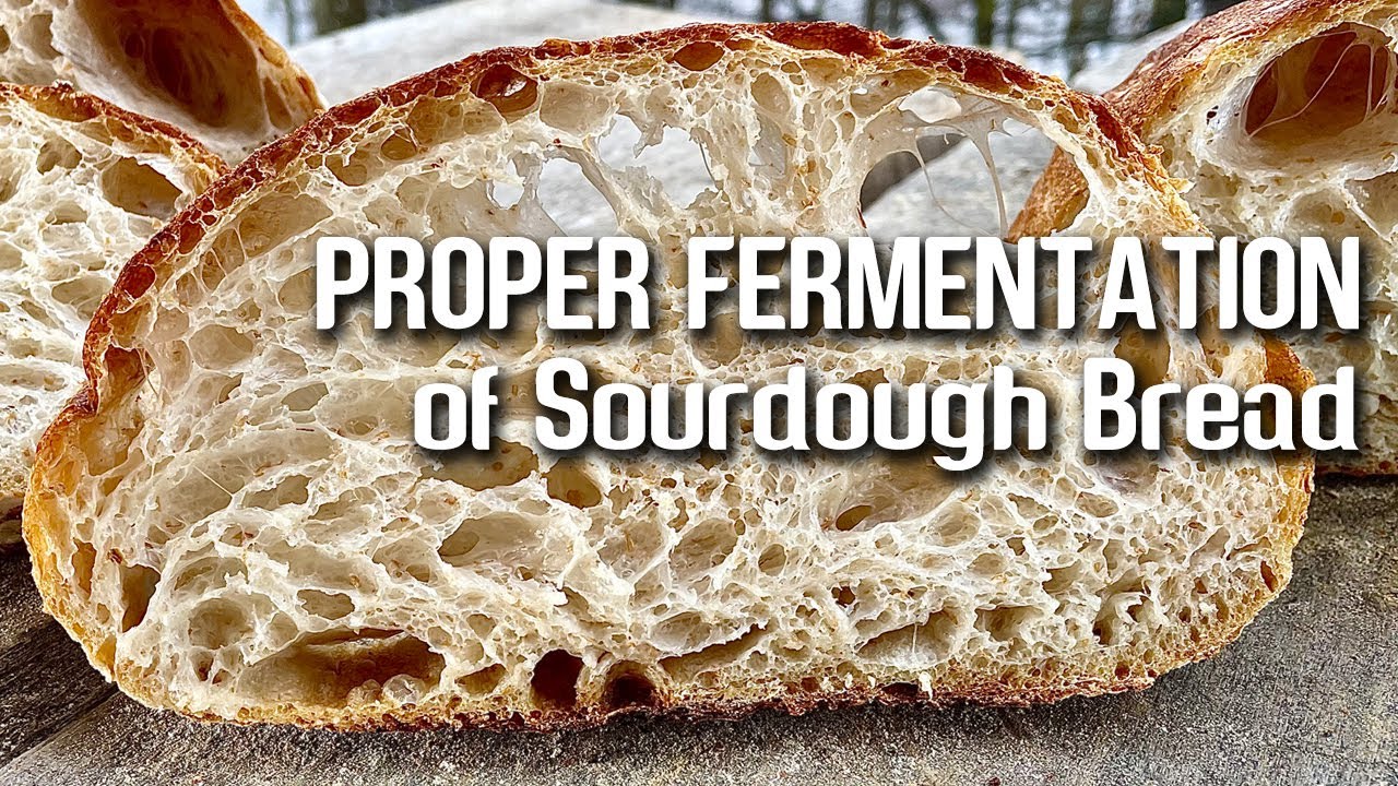 PROPER FERMENTATION Of Sourdough Bread By JoyRide Coffee YouTube