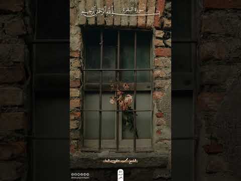 وتزودوا فإن خير الزاد التقوى سورة البقرة محمود علي البنا قرآن اكسبلور ذلك الدين القيم