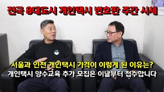 전국 8대도시 개인택시 번호판 주간 시세, 서울과 인천…