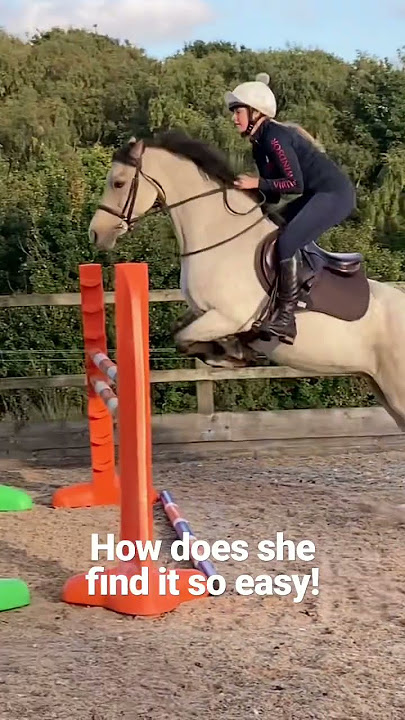 The scope on this pony 😍
