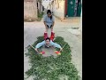 Dajuanzilovefunny Ruralfunnyvideo Makeyoulaugh Dajuanzilovefunny Ruralfunnyvideo Makeyoulaugh