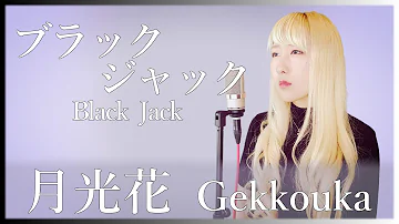 月光花 ブラックジャック