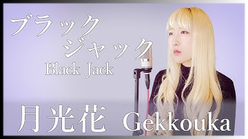Download ブラックジャック Op 月光花 Full Mp3 Free And Mp4
