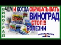 🍇  ЭТА схема ОБРАБОТКИ СПАСЕТ ВАШ ВИНОГРАД. Все  опасные болезни отступят сами по себе.