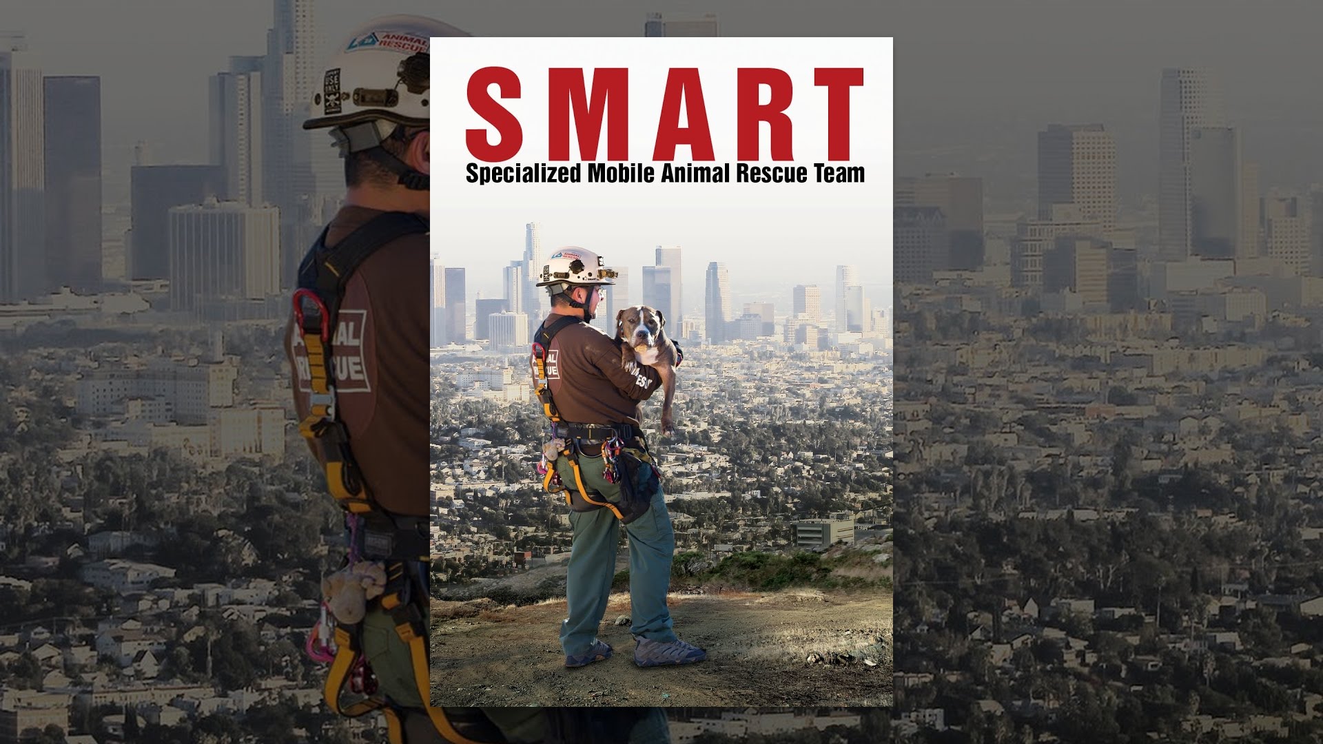 SMART: Specialized Mobile Animal Rescue Team