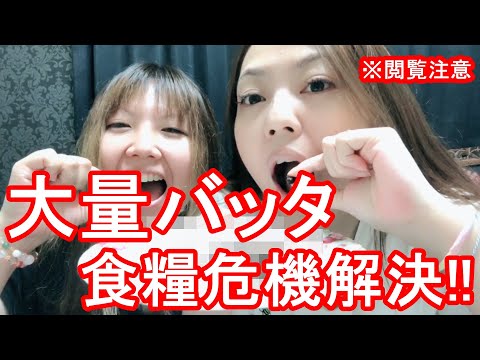 【大量バッタ発生】【食糧危機解決案ｗ】閲覧注意!!虫を食べる美味しい