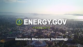 Innovative Bioeconomy Technologies