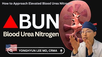 How to Approach Elevated Blood Urea Nitrogen (BUN)