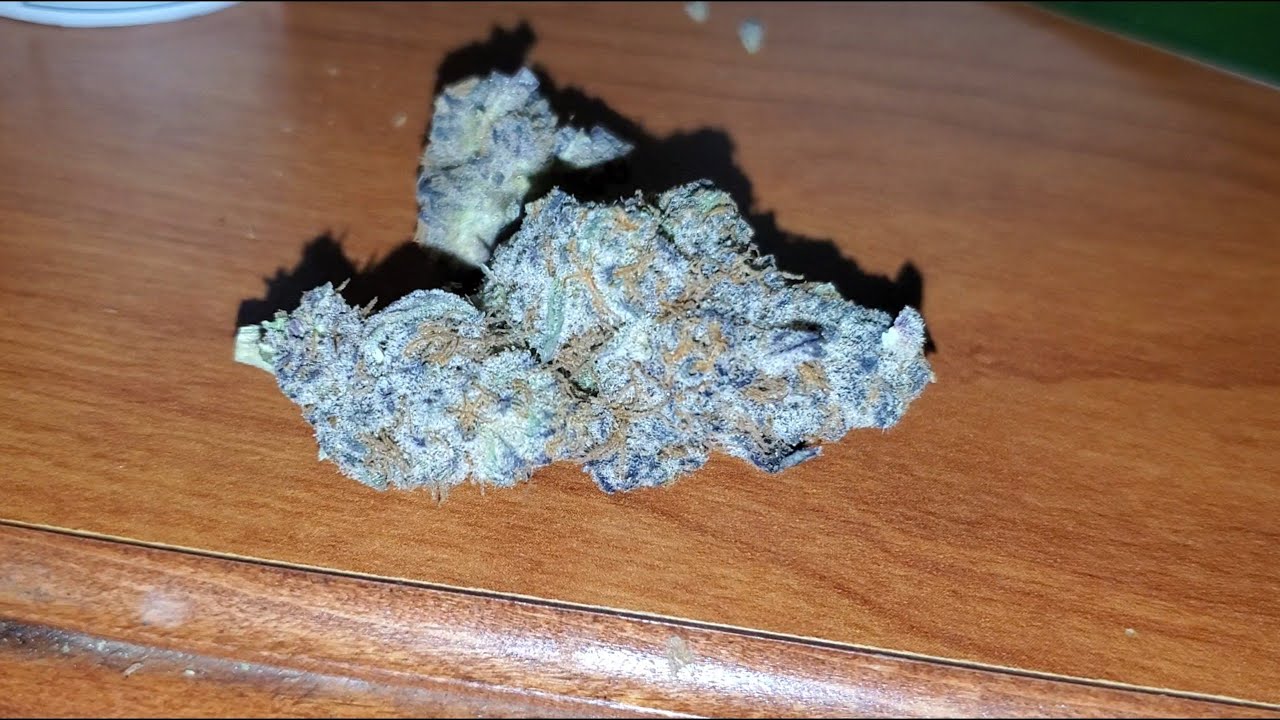 Animal Cookies Strain Review 30% THC !!! (Top Shelf)