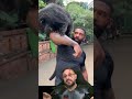 Urso-gato? Binturong @therealtarzann EPISÓDIO 11 #biologohenrique