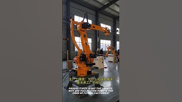 Productivity is off the charts: Why are palletizing robots the core of future factories? #robotics
