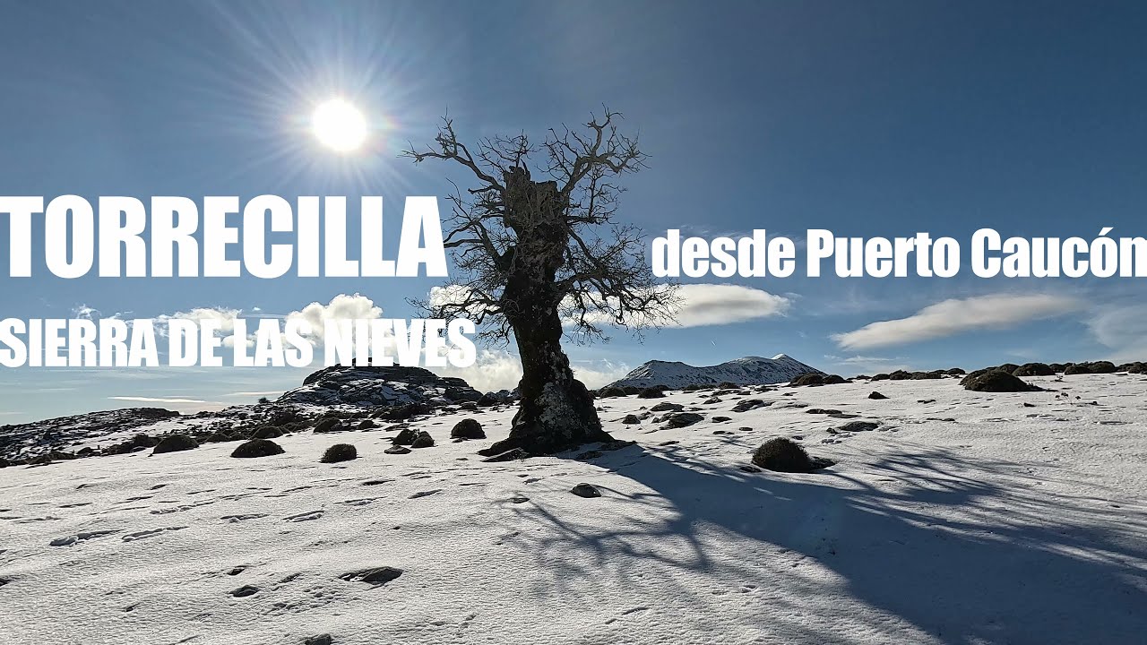 Torrecilla desde Puerto Caucón. Sierra de las Nieves
