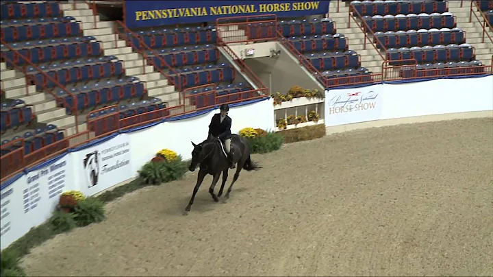 495 ACE OF SPADES   Emily Morin   Amateur Owner Hu...