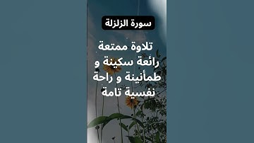 سورة الزلزلة بصوت الشيخ محمد الفقيه. #الشيخ_محمد_الفقيه #اكسبلور #المصحف