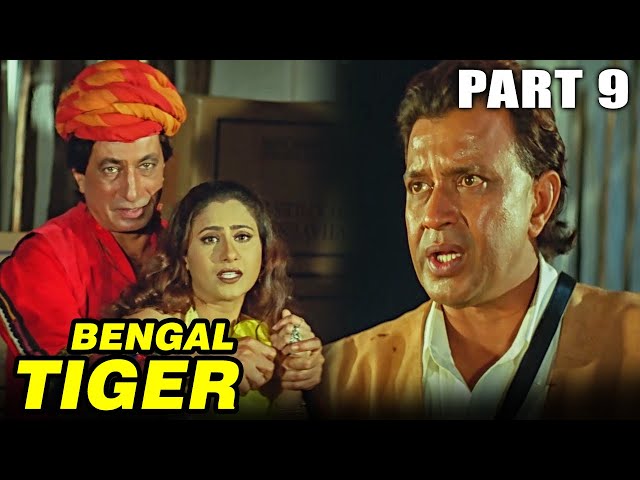 Bengal Tiger (2001) - IMDb