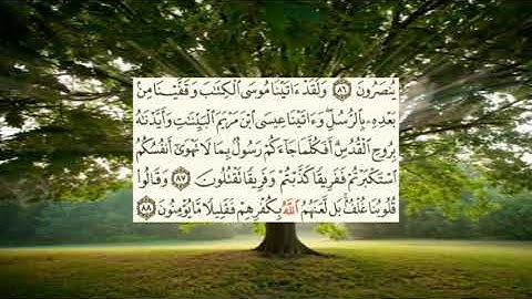 سعد الغامدي -سورة البقرة صفحة - 13- (page (alba9ra