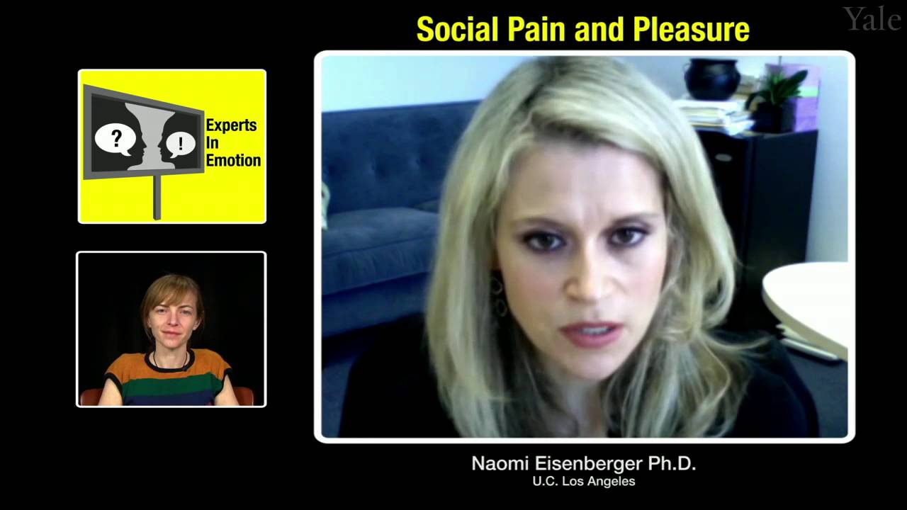 Experts in Emotion 9.3a -- Naomi Eisenberger on Social Pain and Pleasure