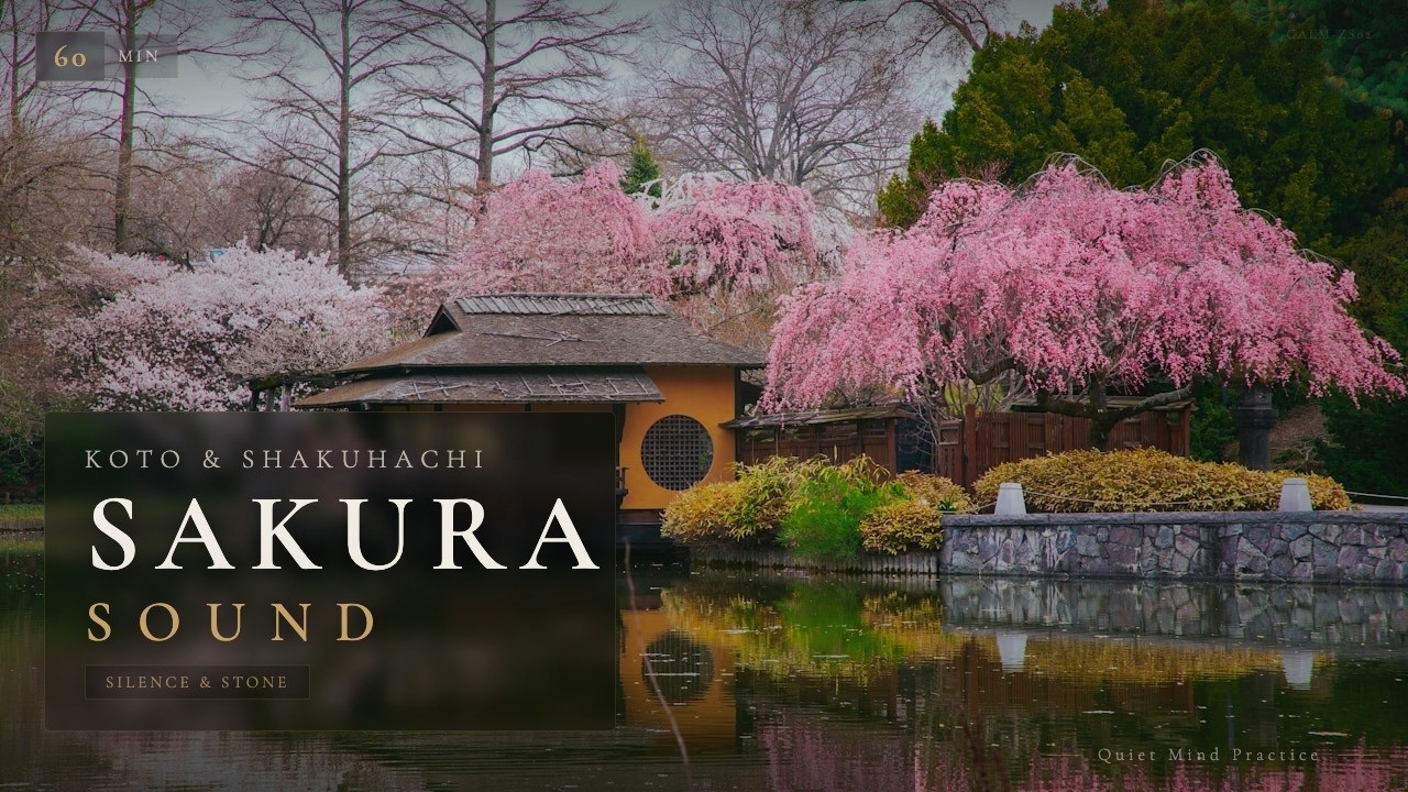 Японская дзен-музыка для внутренней силы и покоя | Сакура, тишина и камень | Relax Meditate