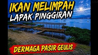 Gacor.. Panen di lapak pinggiran ‼️ mancing cirata terbaru 