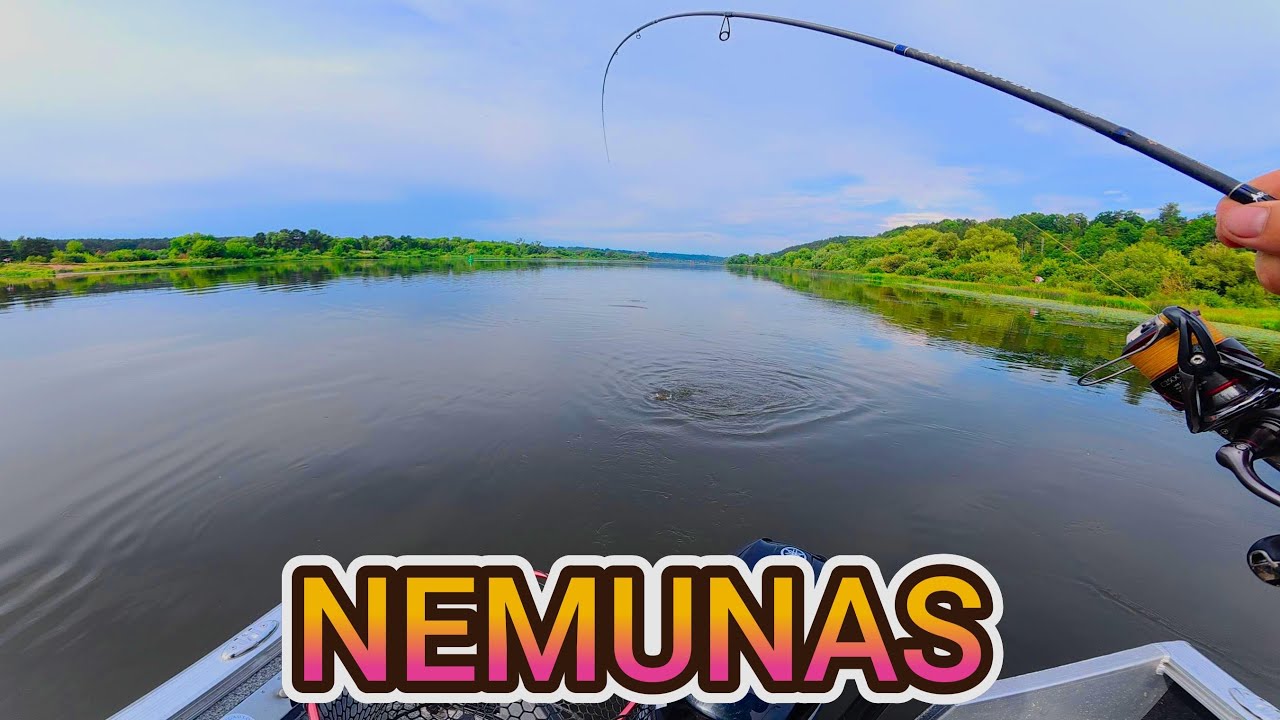 NEMUNAS VALTIS SPININGAS  Žvejyba upėje