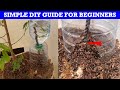 DIY: DO THIS to turn a plastic bottle into a drip irrigation system l SIMPLE DIY GUIDE FOR BEGINNERS