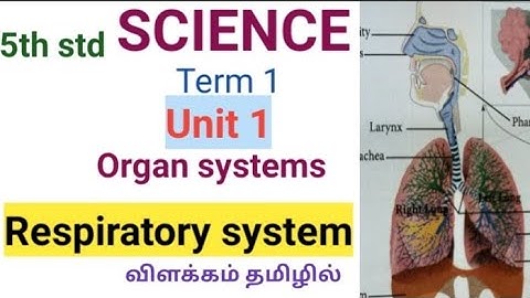 5th std Science|Term 1 Unit-1 Organ systems|Respiratory system|in Tamil