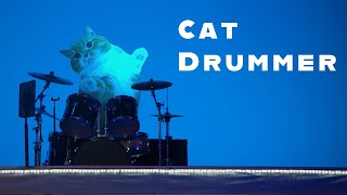 Cat Drummer !? 短足猫のマンチカンがドラムを叩いてみたら【マンチカンズ】 by マンチカンズTV - Munchkins' TV - 3,715 views 3 years ago 3 minutes, 57 seconds