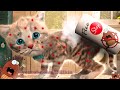 CARTOON LITTLE KITTEN ADVENTURE - FUNNY KITTEN CUTE GAMES FOR KIDS -  PET CARE!