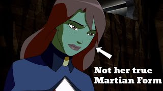 Times where animation tackled serious issues part 1 - Young Justice