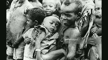 How to End World Hunger