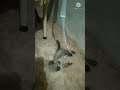 Exercício na fita pra emagrecer.