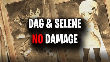 Dag & Selene No Damage(Hard)~Bravely Default 2