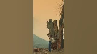 Hamro Maya Ajambari A Mero Hajur 4 #Shorts