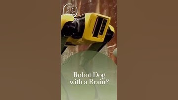 This Robot Dog Can Do What Real Dogs Can’t! 🤖