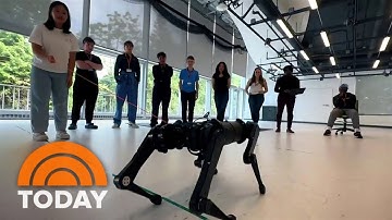 How the summer program AI4ALL is helping reshape the future