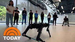 How the summer program AI4ALL is helping reshape the future