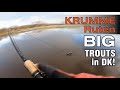 KRUMME Ruten am GEHEIMEN See: Forellenangeln in Dänemark, letzter Tag | BIG Trout fishing