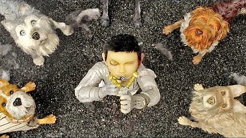 Does the dog die in dogs journey?