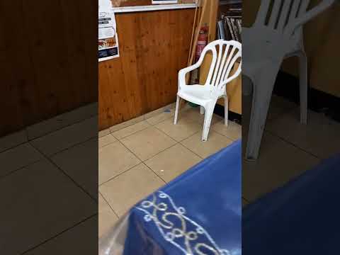 המרצה הרב שניאור אשכנזי כותב בס ת משיחנאו לרבי מה מ שליט א לשלמות הארץ ואחדותישראל בראשל צ 