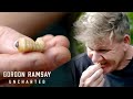 🇳🇿 🐛 Chef Monique Fiso Introduces Gordon to Huhu Grubs in New Zealand | Gordon Ramsay: Uncharted