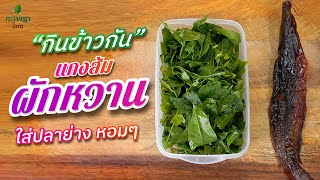 #เมนูพื้นบ้าน แกงส้มผักหวาน #กับข้าว #thaifood