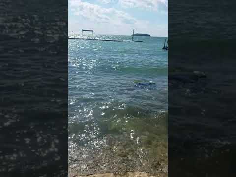 Βίντεο: Νησί Kelleys στη λίμνη Erie