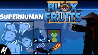 So I Got SUPERHUMAN in Blox Fruits... (Roblox)