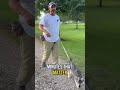 Next Level Dog Training: 10 Minutes a Day? It’s the Other 23 Hours That Matter More!
