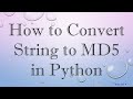 How to Convert String to MD5 in Python Mp3 Song