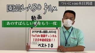本年度動画アップ１００本記念 あの素晴らしい動画をもう一度 Youtube
